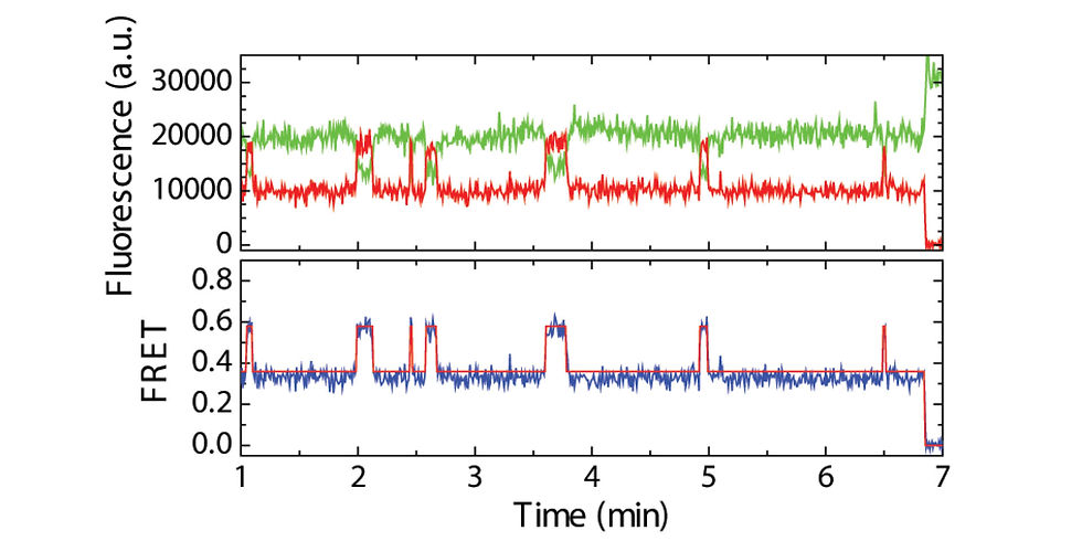Transport domain movements