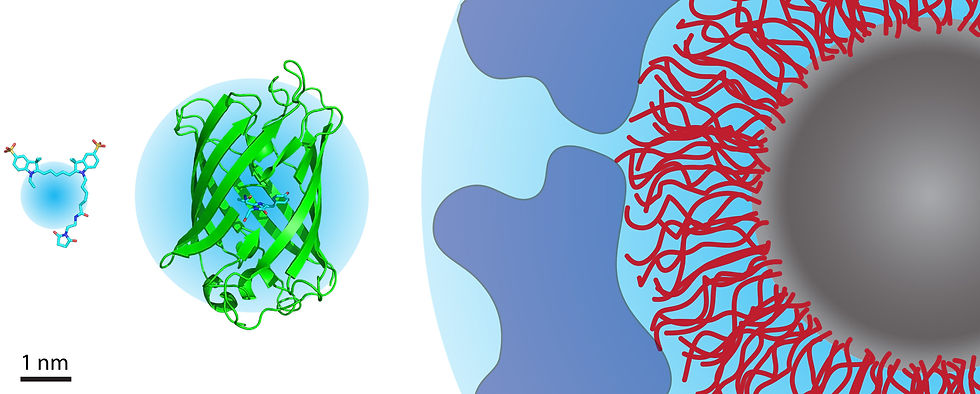 Extrinsic imaging contrast agents