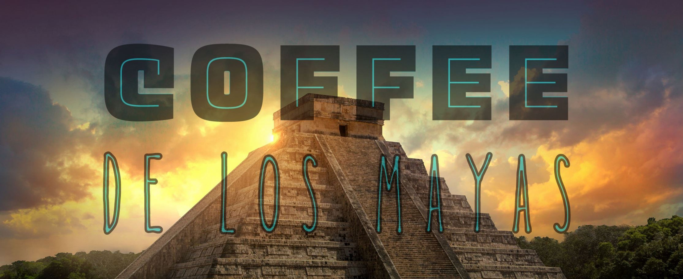 Coffee De Los Maya: Coffee De Los Mayas | Homepage — Coffee De Los Maya in san ignacio