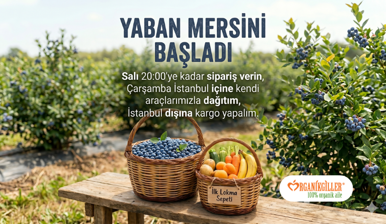 Org Salı Banner 22062026 790460.png
