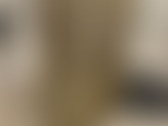 Appian's Ancient Roman History 1545 FIRST EDITION ALDINE PRESS Post-Incunable !