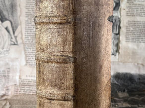 1559 New Testament in Latin Pigskin Leather Erasmus Holy Bible STUNNING & V RARE