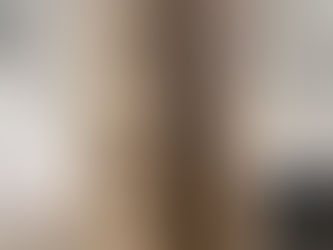 1559 New Testament in Latin Pigskin Leather Erasmus Holy Bible STUNNING & V RARE