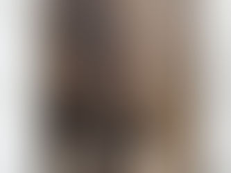 Dr. No 1958 Ian Fleming FIRST EDITION FIRST IMPRESSION in Original Dust Jacket!