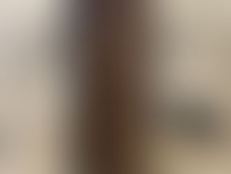 Sir Andrew Wylie FIRST EDITION 1822 John Galt 3 vols LEATHER V RARE !