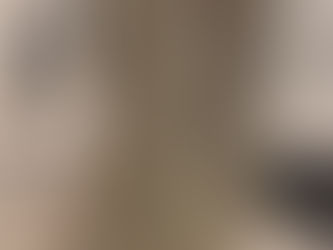 Julius Caesar's Commentaries 1514 POST INCUNABLE WOODCUTS, MAPS Gaul, Rome RARE!