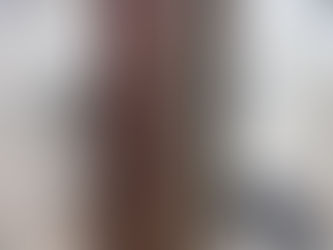 Bleak House - Charles Dickens FIRST EDITION ORIGINAL CLOTH 1853 Very Scarce VGC