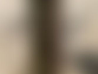 Goethe & Zelter Correspondance FIRST EDITION Fine Binding 1833 2 vols Faust