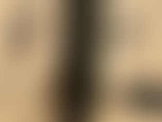 Ma Souer Henriette - Ernest Renan FIRST EDITION LIMITED 1/125 1895 RARE