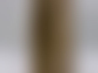 The New Testament of the Holy Bible 1579 - RARE Early London Printing Theo. Beza