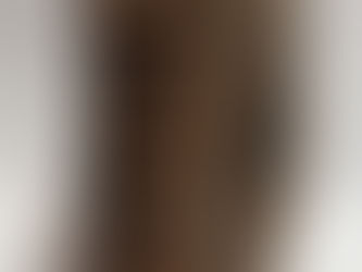 De Inventoribus Rerum by Polydore Virgil 1580 - A VERY RARE BANNED BOOK !