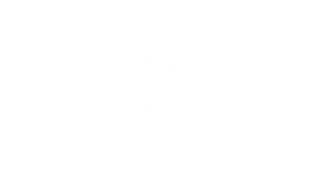 Icône micro blanche