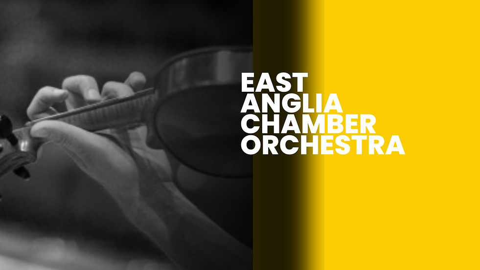 new A CHILD OF OUR TIME 17th December 2022, 7.30pm West Road Concert Hall, Cambridge (3).j