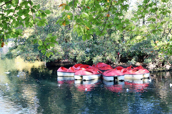 Lister park moored boats