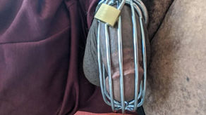 La chasteté pour réussir sa vie avec la chastity academy of chaste-t-com 4/11