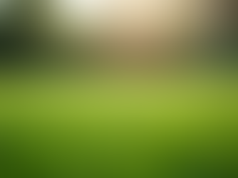 Schedule Your Fairway Lawncare Appointment Today!