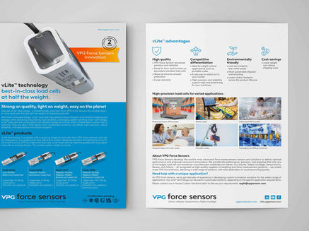 Flyer Design for VPG