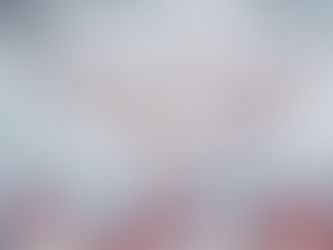 Horizon December Newsletter