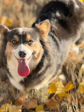 photo-output (1).jpg