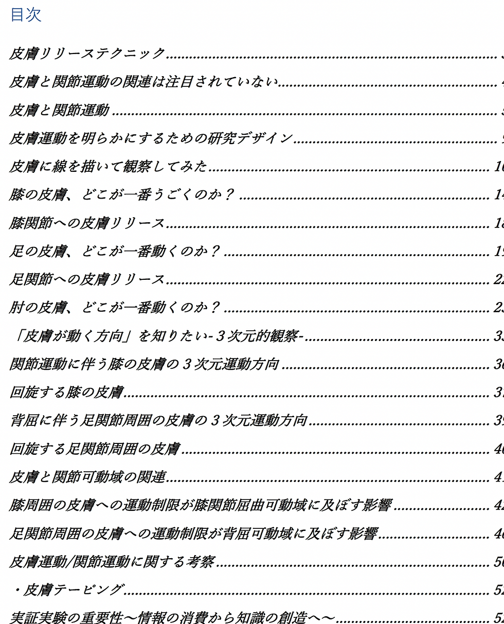 縮圖：スキンモーション-3次元的皮膚運動-