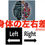 サムネイル： 身体の左右差