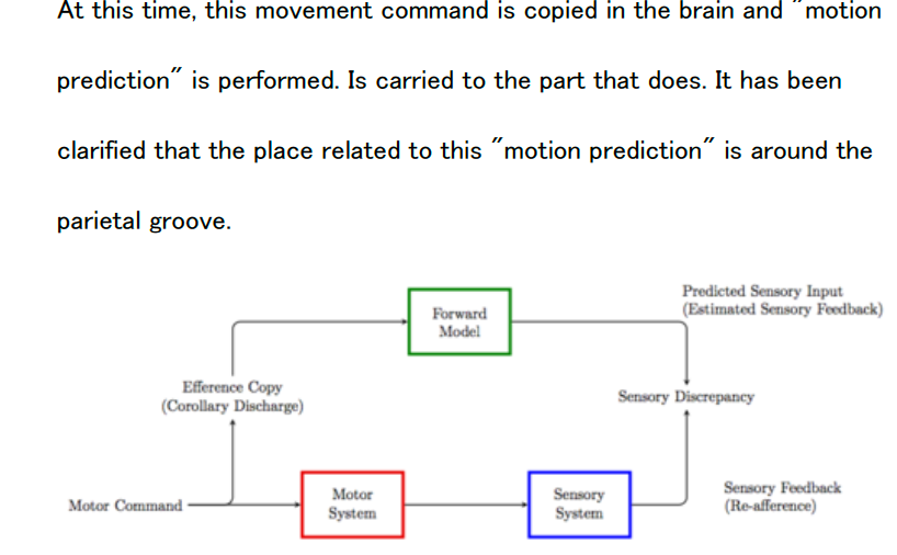 섬네일: Movement-Sensation&Imagination-