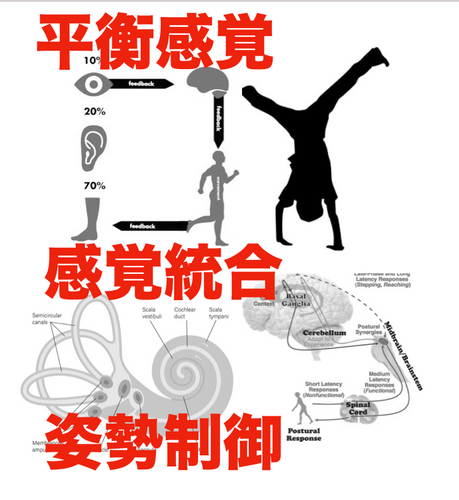 平衡感覚・感覚統合 | MoveFree!online