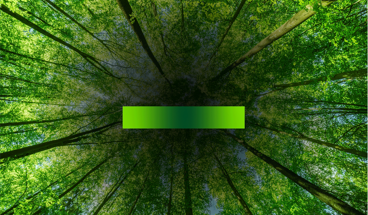 Plot-impresion-digital-ecologico-1.png