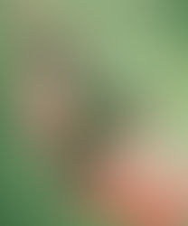 Review by Kelly Jarvis: The Magic All Around by Jennifer Moorman