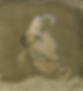 Screenshot 2025-05-31 at 9.44.22 PM.png