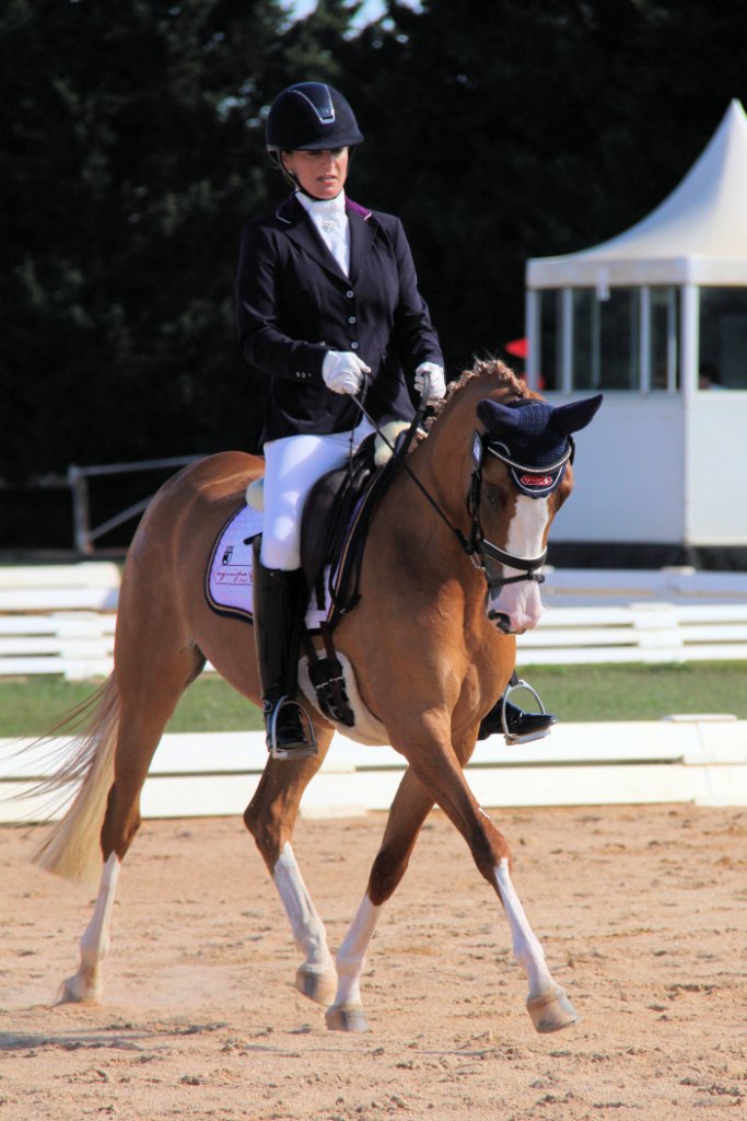 Diva Toscana