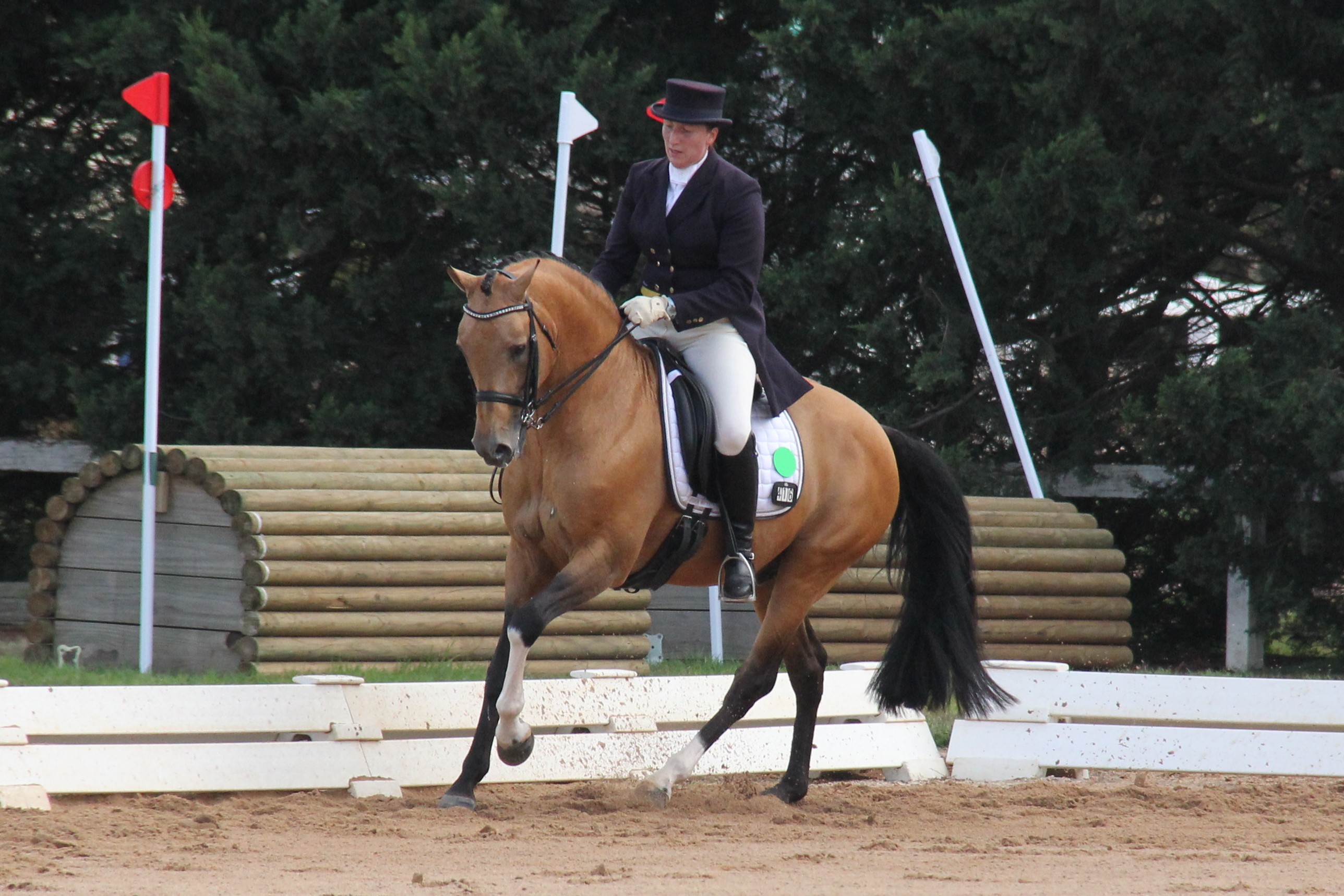 Cheval de Luxe