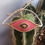 Miniaturbild: Handmade Eye bracelet