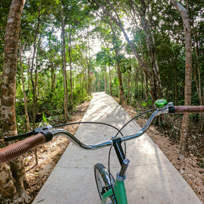 senderos de mayakoba