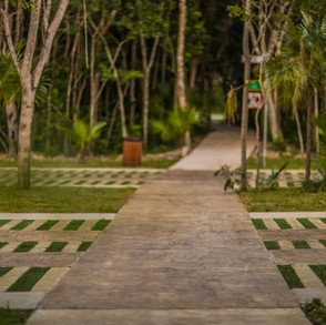 senderos de mayakoba