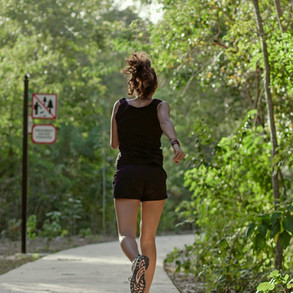 senderos de mayakoba