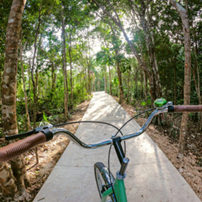 senderos de mayakoba