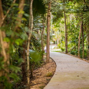 senderos de mayakoba