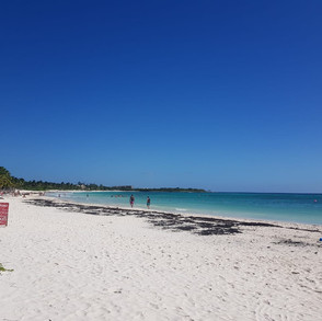 xpu-ha-beach-6.jpeg