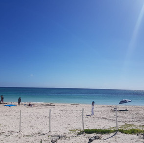 xpu-ha-beach-5.jpeg