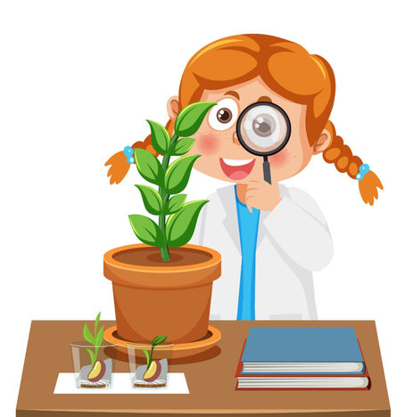 The Self-Experimentation Lifestyle - Discover What Works for You!