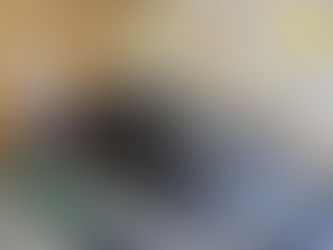 Kia Sportage (2016) - CT Vierge - 11990€