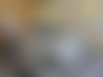 Ford B-Max (2014) - Garantie - 8490€