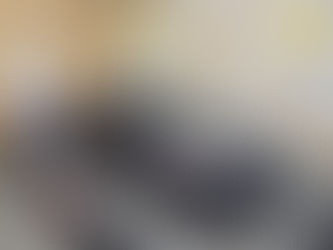 Ford Focus (2011) - CT Vierge - 6490€