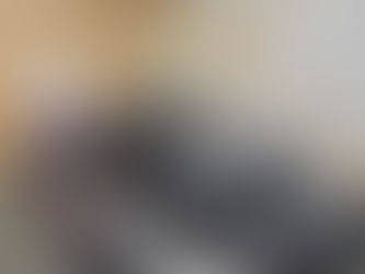 Audi A4 Avant (2016) - Suivi Complet - 16990€