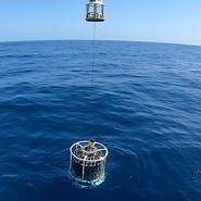 CTD RV Invesigator