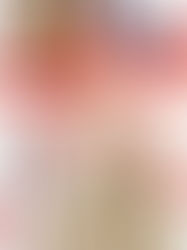 My Favorite Black Friday & Cyber Monday Finds