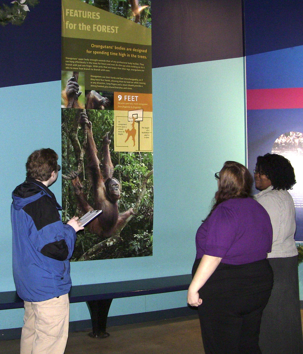 Formative Evaluation