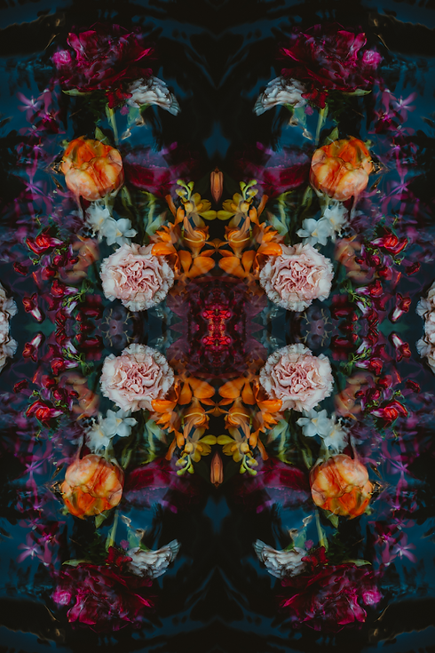 Chaos-in-Bloom-VI---4_6-ratio.png