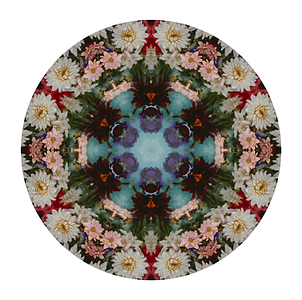 Mendala-VIII.png